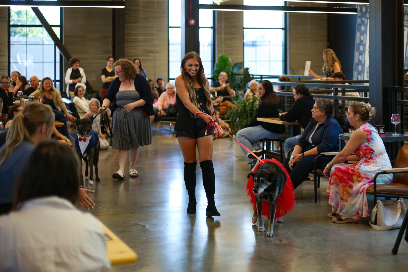 Doggy fashion show benefits animal rescue - InForum