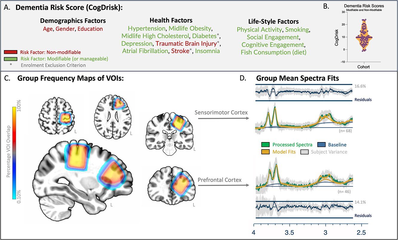 Brain chemical shifts tied to lifestyle may predict dementia risk