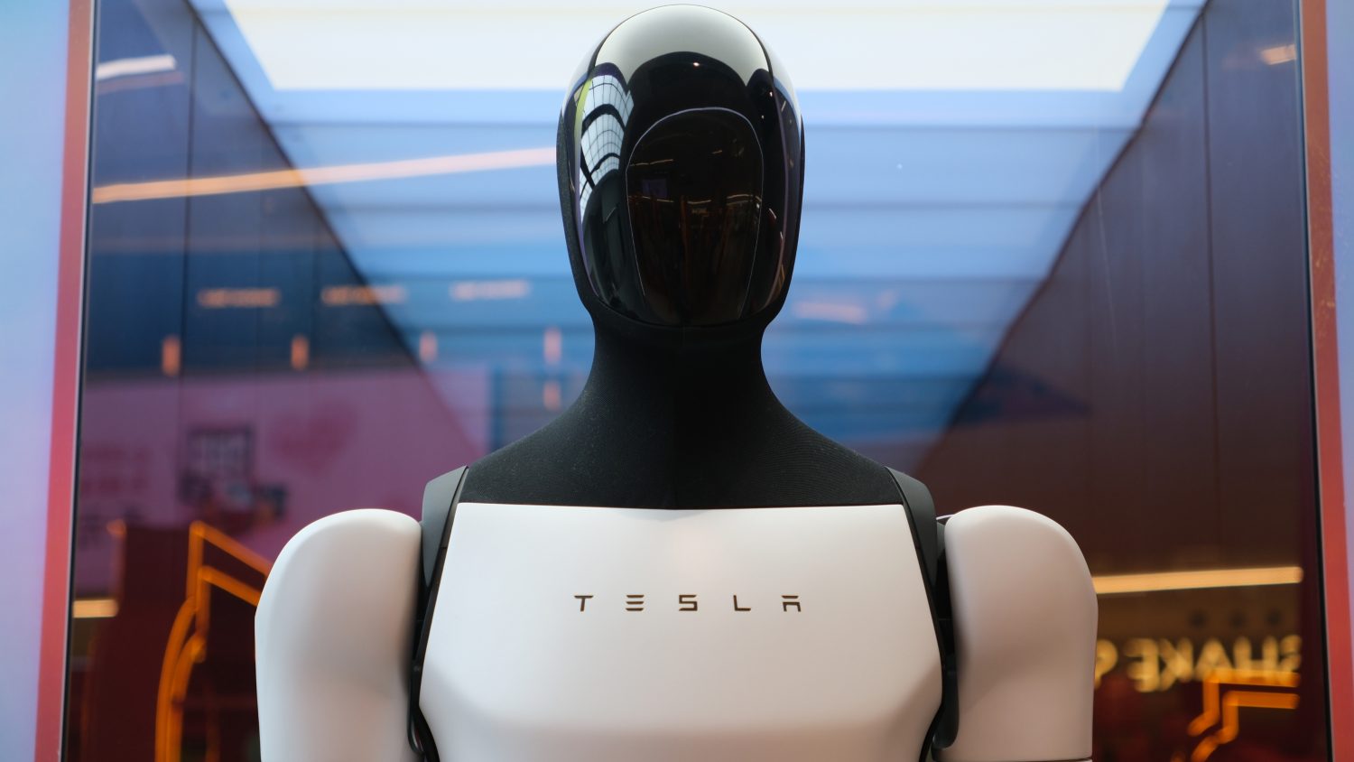 Elon Musk ignores Tesla sales slump, places bets on Optimus humanoid robots
