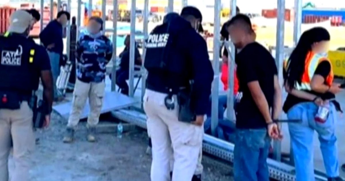 Nearly 500 people detained after Hyundai raid in Georgia