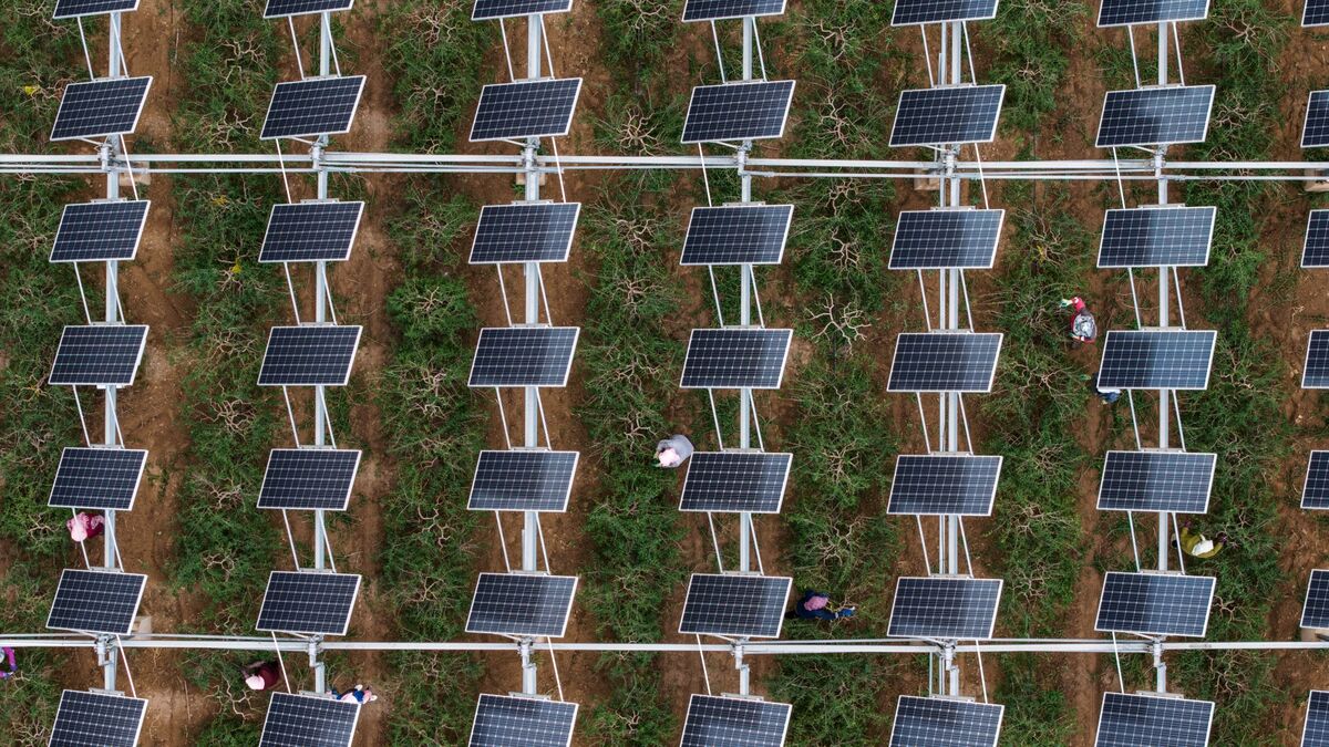 What venture capitalists learned in China: Green Daily