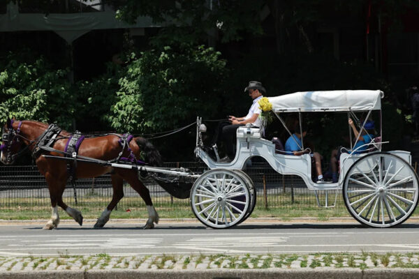 NYC Mayor Adams calls for ban of Central Park horse-drawn carriages, passage of ‘Ryder’s Law’