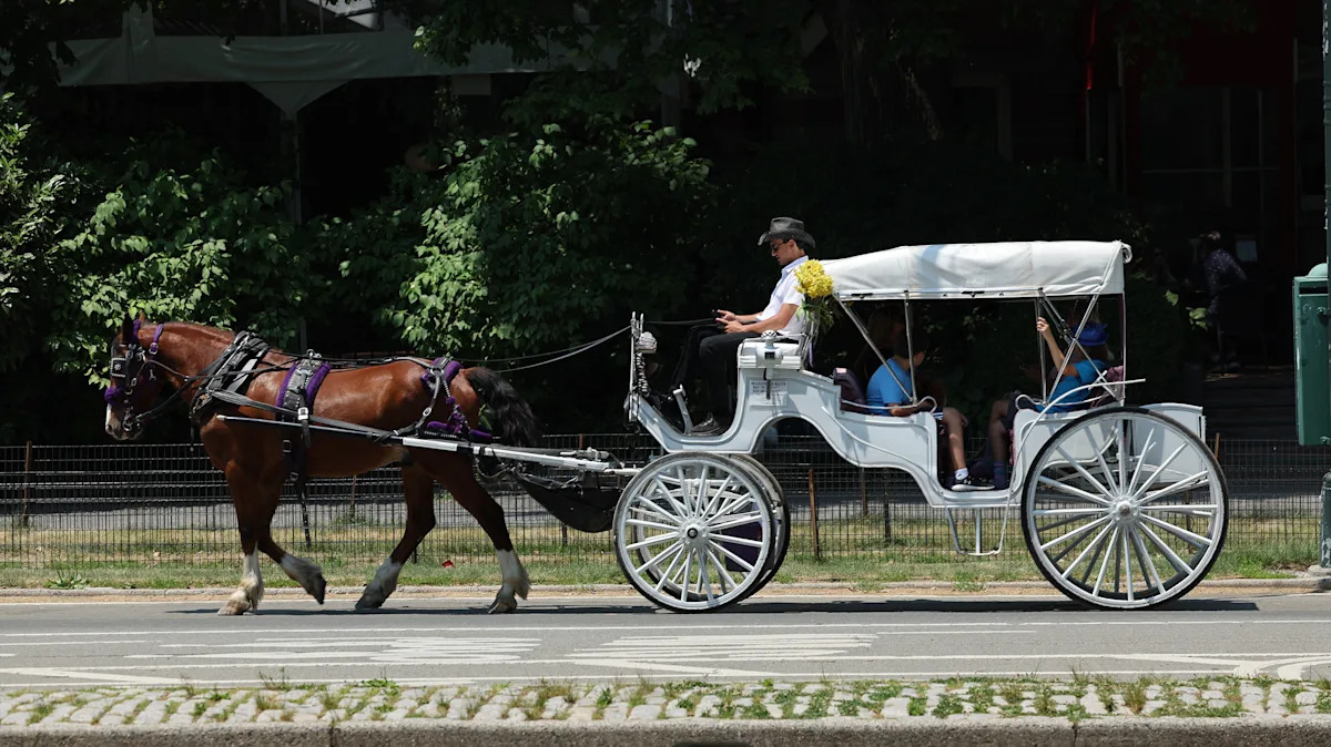 NYC Mayor Adams calls for ban of Central Park horse-drawn carriages, passage of ‘Ryder’s Law’