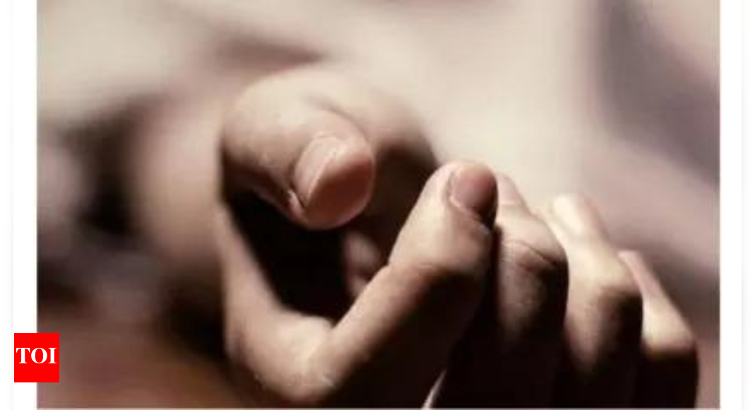 Cameroon separatists claim deadly roadside attack that killed 7 soldiers | World News