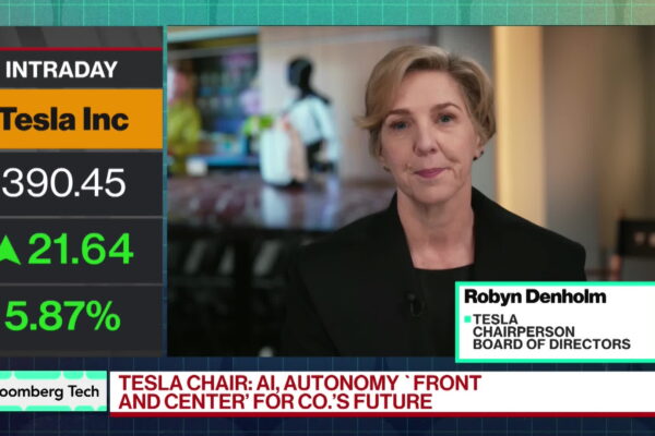 Elon Musk's Political Motivations Are His Own, Says Tesla Chair