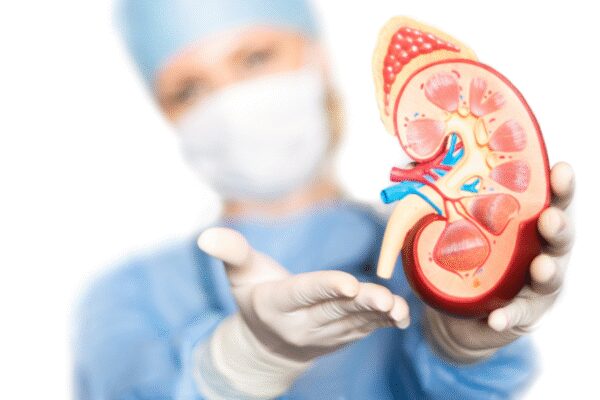 From cereals to bananas: 8 surprising breakfast foods worsening your kidney problems – Breakfasts matter From cereals to bananas: 8 surprising breakfast foods worsening your kidney problems - Breakfasts matter
