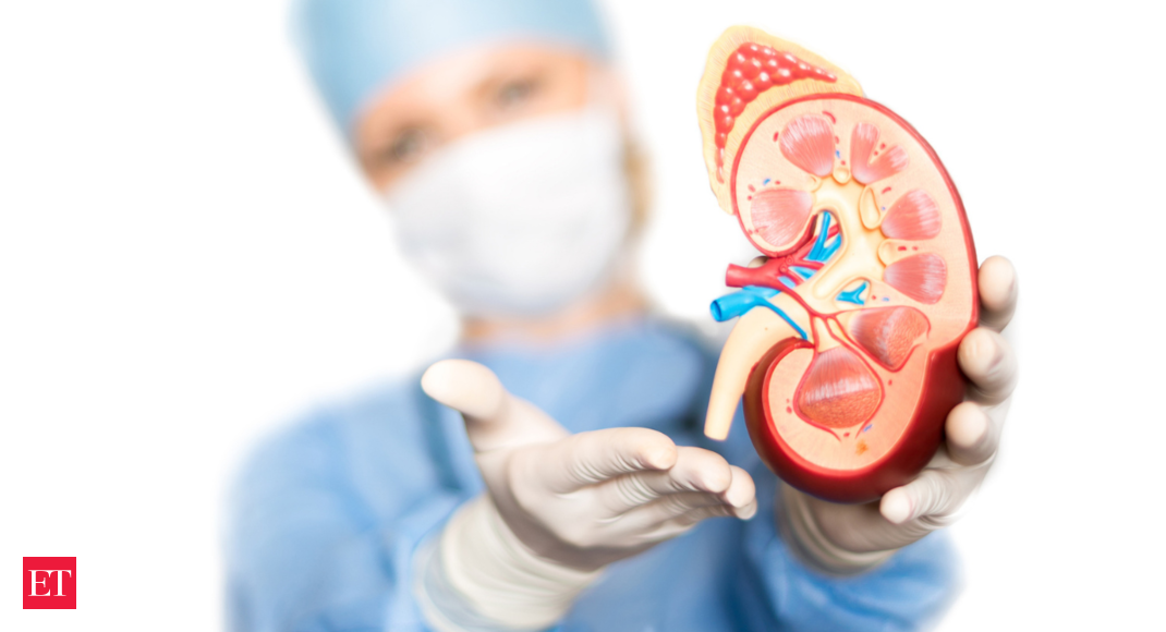 From cereals to bananas: 8 surprising breakfast foods worsening your kidney problems - Breakfasts matter