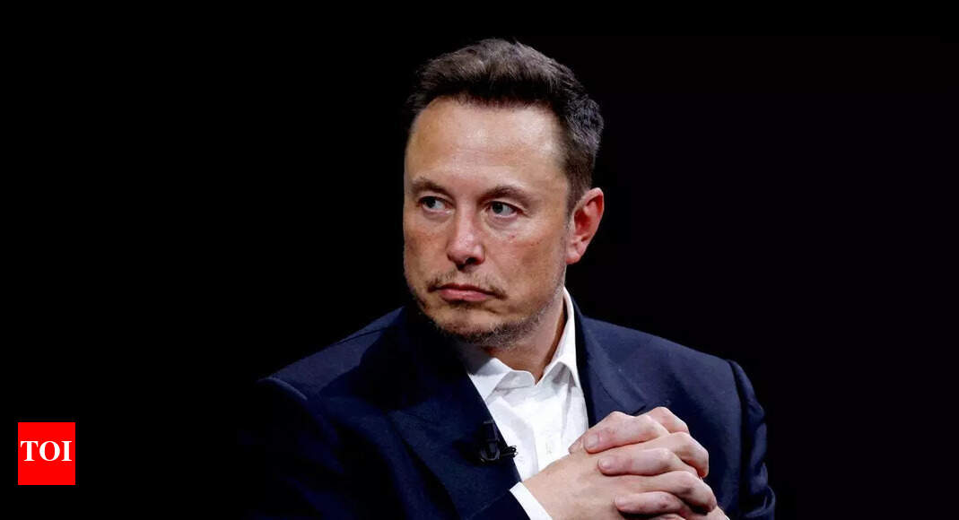 'Reason I’m in America': Elon Musk’s old H-1B visa posts resurface - what he said