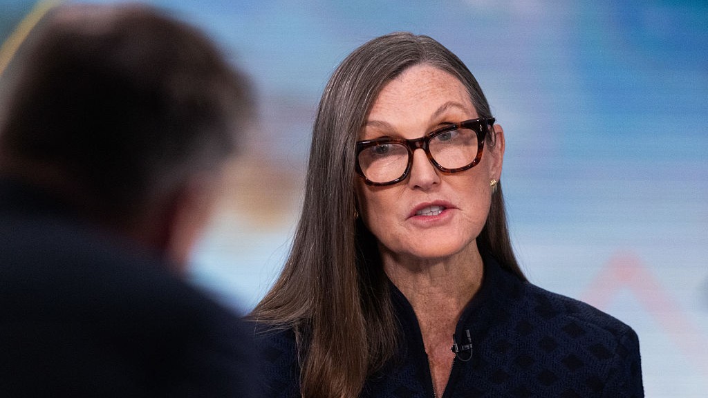 In Full: Ark's Wood on H-1B Visas, China Tech, TikTok