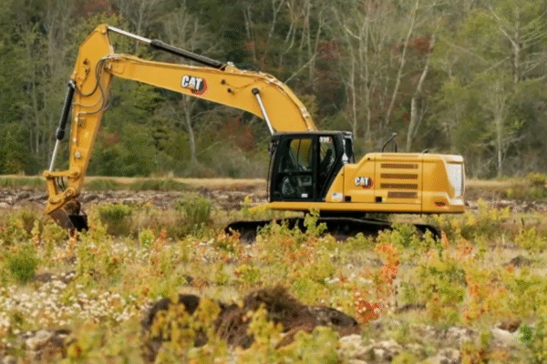 Massachusetts cranberry farmers choosing to restore their bogs into wetlands amid economic headwinds