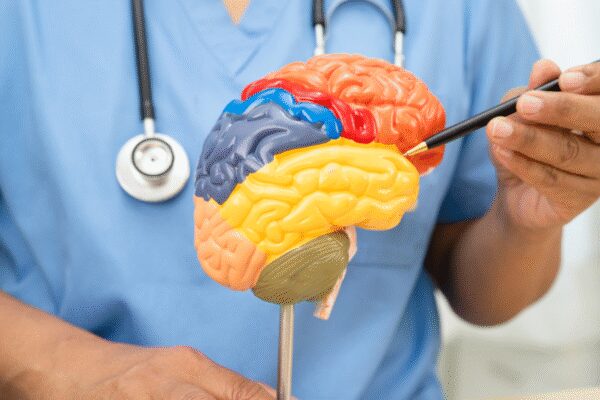 Boost brain health: How MIND diet with these 3 lifestyle habits can sharpen memory at any age Boost brain health: How MIND diet with these 3 lifestyle habits can sharpen memory at any age