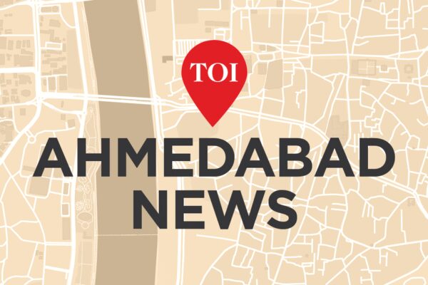 Phones of two women stolen at Law Garden | Ahmedabad News