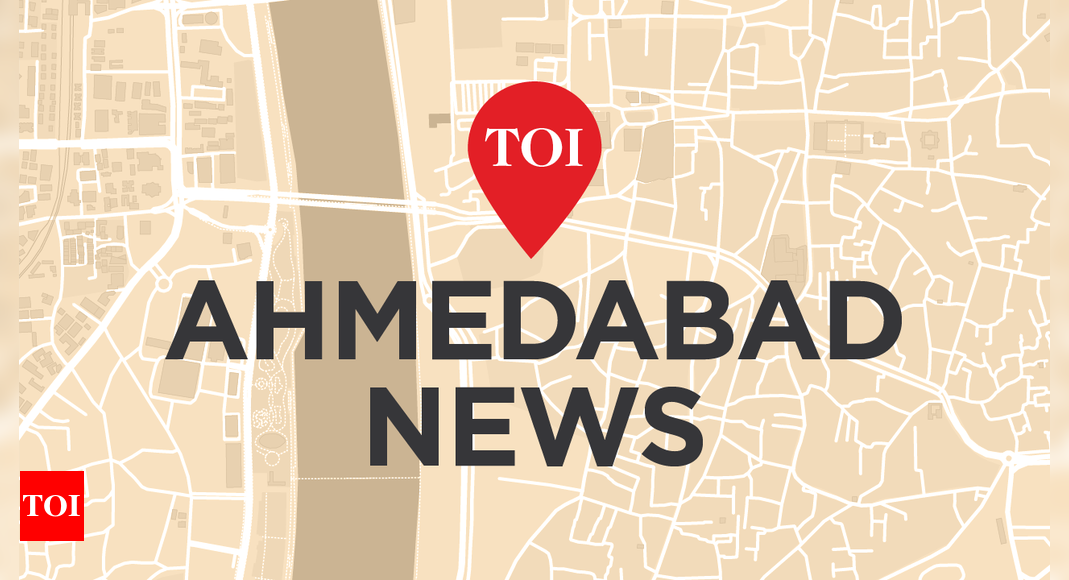 Phones of two women stolen at Law Garden | Ahmedabad News