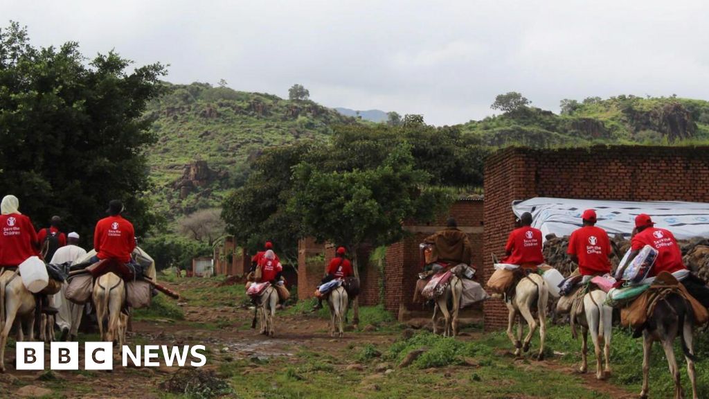 Aid workers use donkeys to reach Tarasin village in Darfur