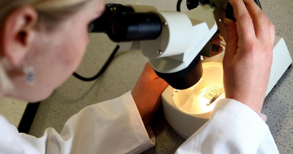 ‘Target’ for treatment for hard-to-treat cancer discovered by scientists