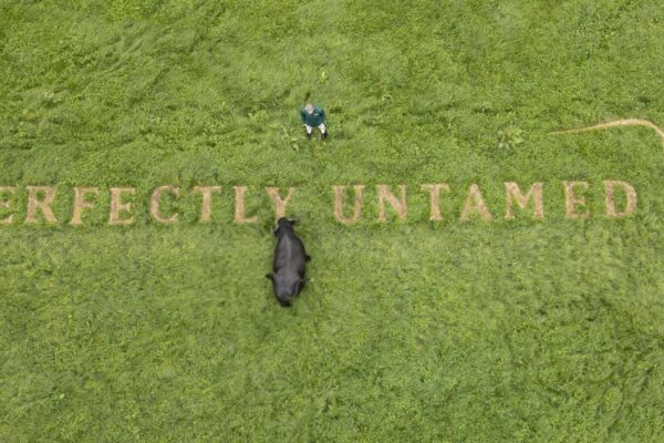 D’Arcy stunned as Buffalo Trace’s ‘Perfectly Untamed’ message appears