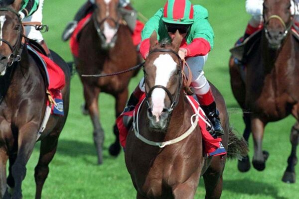 Mark Johnston remembers Doncaster delights with Double Trigger