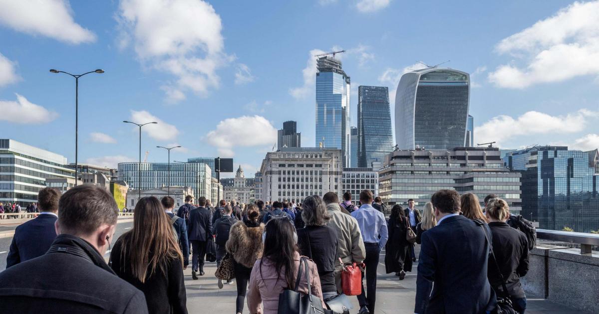 Job hunters rise to highest level for nearly five years – report