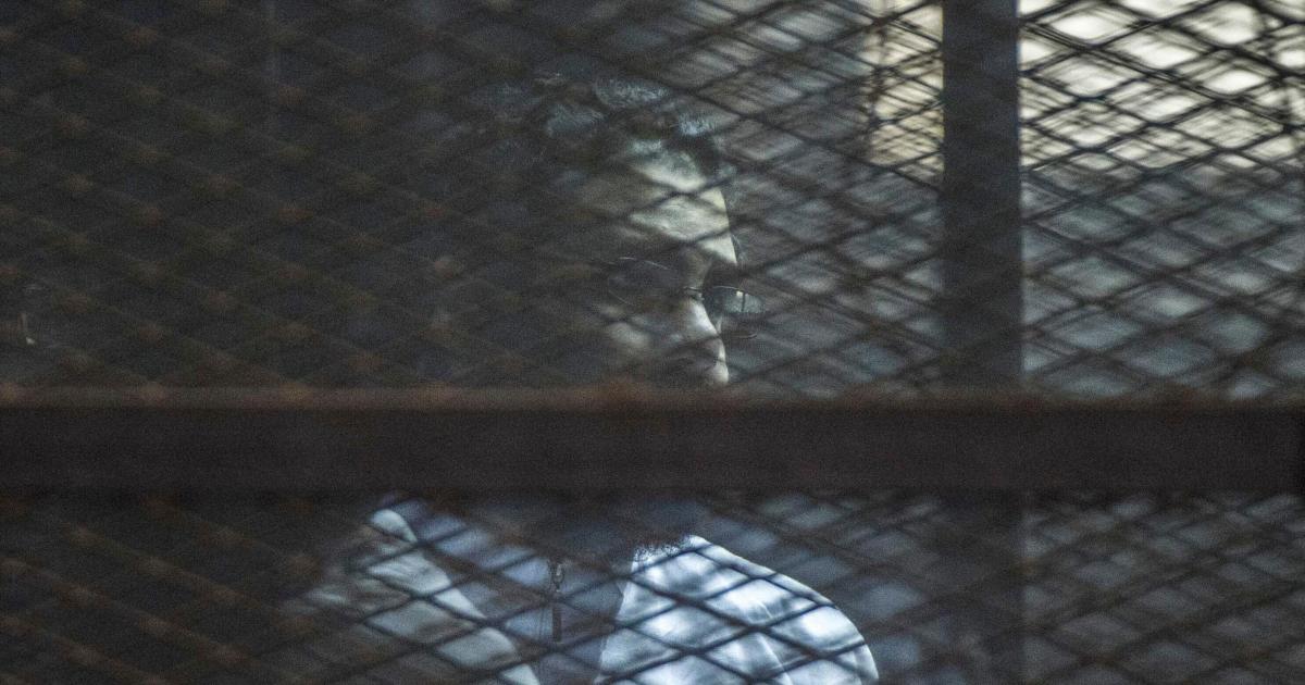 Egypt pardons jailed British activist Alaa Abd El-Fattah
