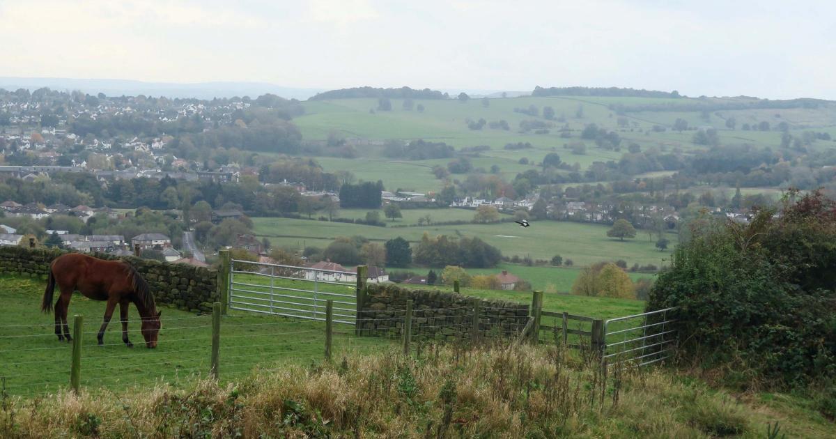 Residents invited to have their say in Local Plan