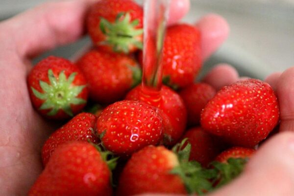 Favourite scents include vanilla, strawberries and cherry blossom