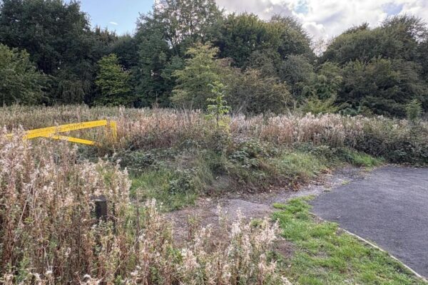 Sex assaults motivated by race absolutely appalling, says Home Secretary