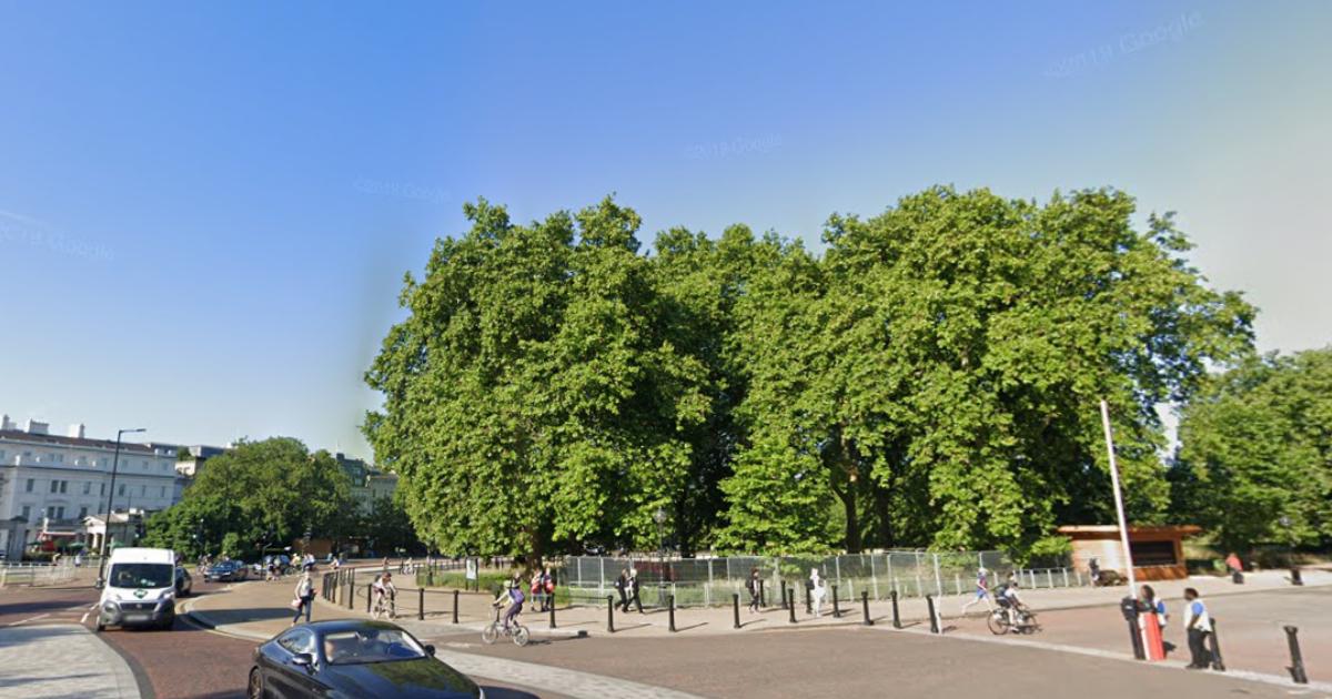 Hyde Park rape: Asylum seeker who entered the UK illegally jailed