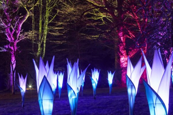 Christmas at Wimpole Estate will have UK-first illuminations