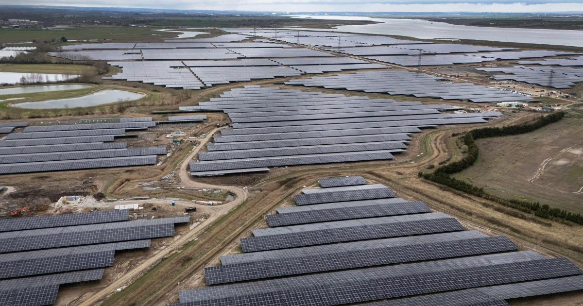 Renewables generate record share of electricity generation, figures show