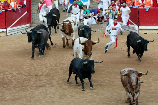 Retail traders rush into Wolfspeed as it exits Chapter 11 bankruptcy