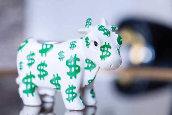 My 3 Favorite Dividend Stocks to Buy Right Now