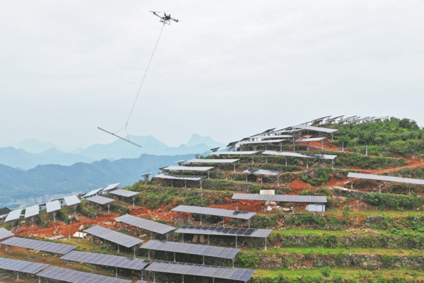 Green technology empowers global trade in services