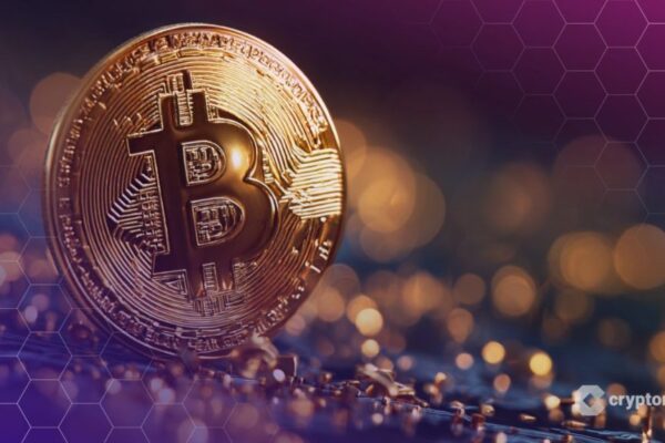 David Bailey Says Bitcoin Needs to Slay ‘Two Massive Whales’ Before Hitting $150K