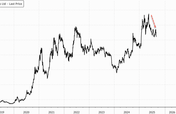 China's EV Market Slowdown Hits Top Players Hard