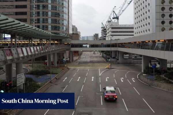 Hong Kong stocks rise on China stimulus bets amid typhoon trading