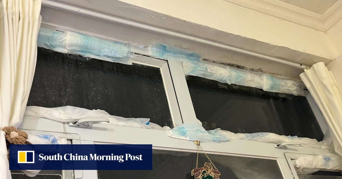 Hongkongers plug window leaks with sanitary pads, diapers as Ragasa rages