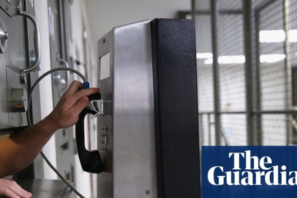 Ice puts more than 10,000 people in solitary in a year – and figures are rising under Trump | US immigration