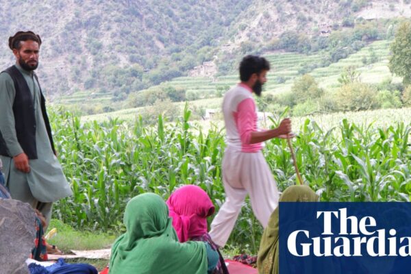‘All I have left is this cloth’: Afghan earthquake survivors still waiting for help | Global development