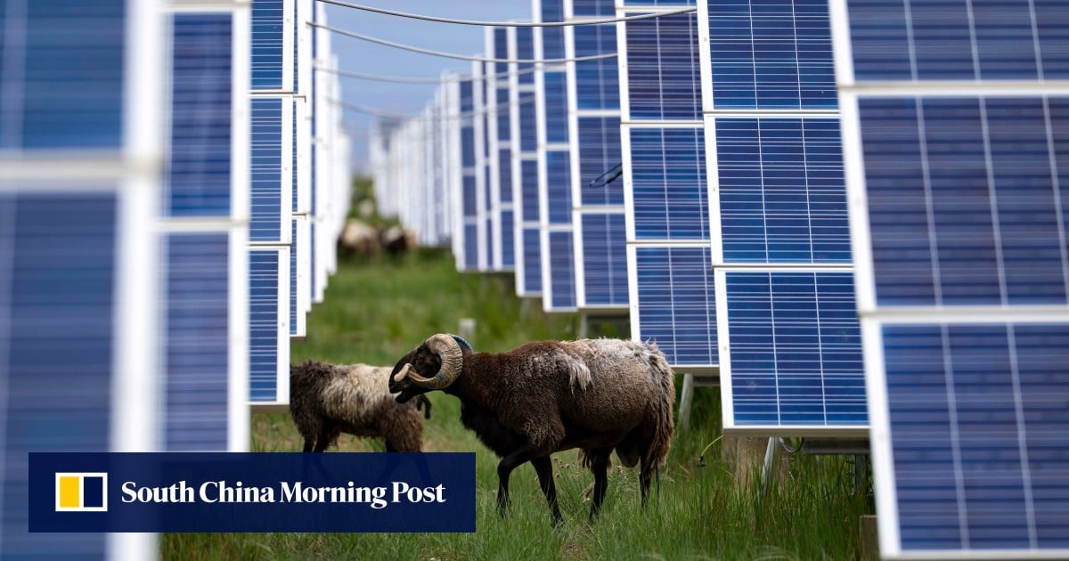 Hong Kong’s sustainable debt market grows 15% as city prepares to host Green Week