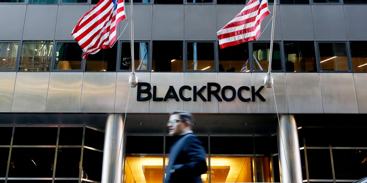 3 Investing Lessons for 2025 so Far Amid Volatility: BlackRock Institute