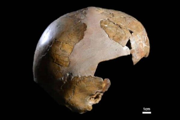 Archaeologists Find Oldest-Known Human-Neanderthal Hybrid Yahoo news home