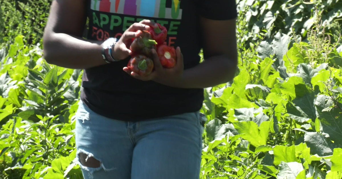 North Minneapolis urban farm looks to teach kids healthy eating habits, address food insecurity