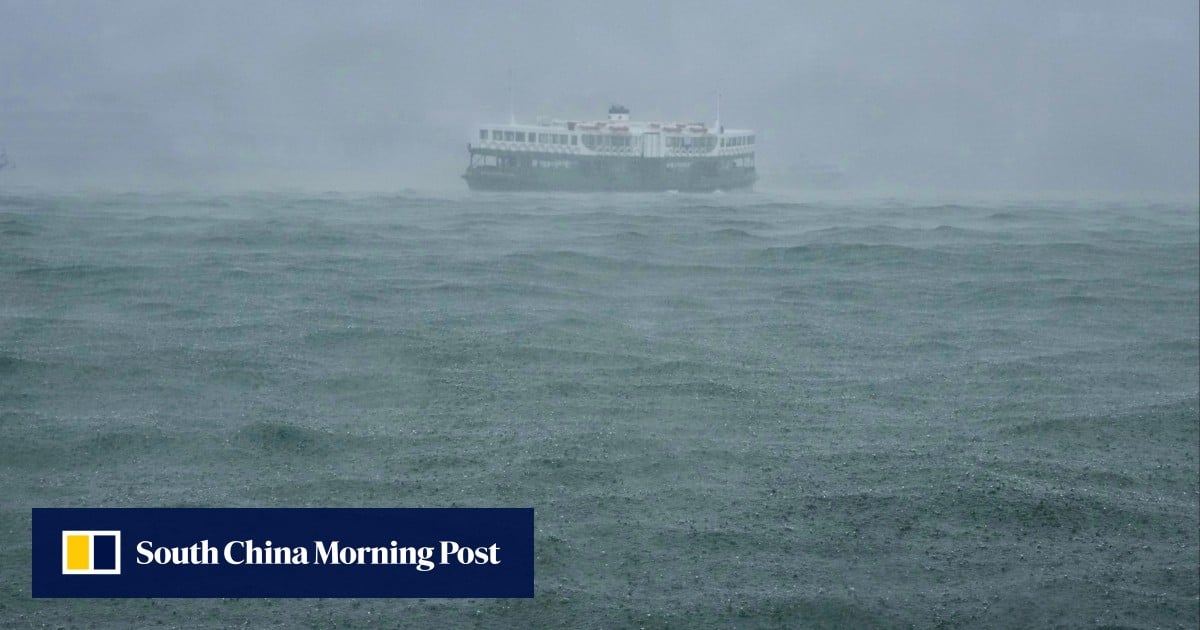 Ferry services suspended as T3 signal remains in force in Hong Kong for rest of Sunday