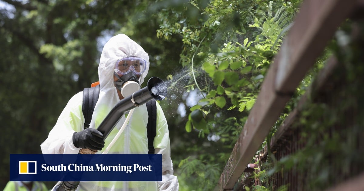 Global warming and increased travel drive surge in Hong Kong dengue infections