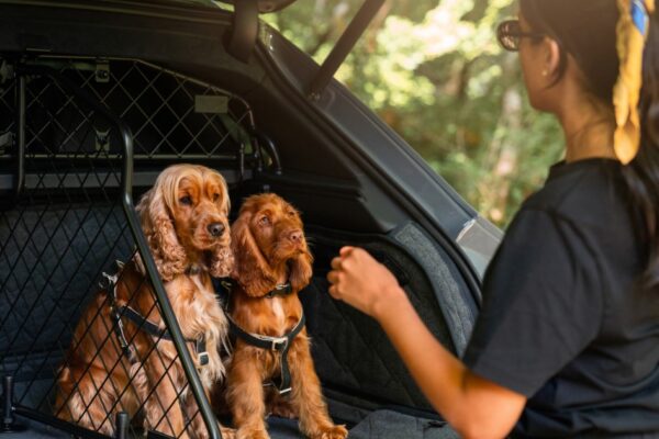 Bentley pet accessories bring handcrafted luxury to every journey
