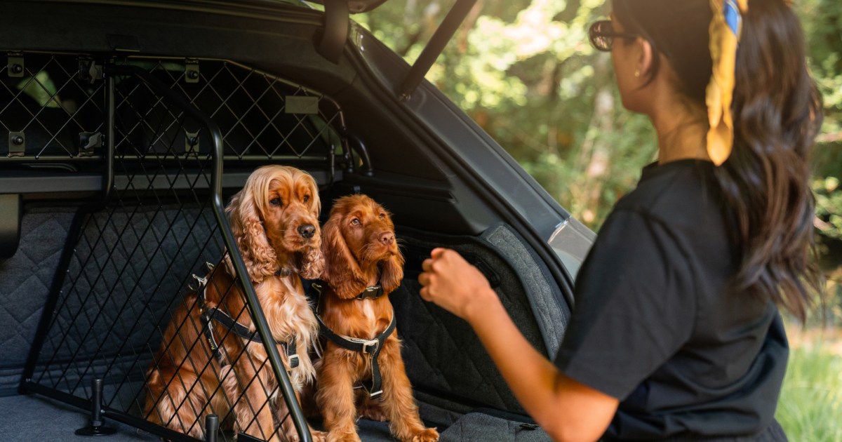 Bentley pet accessories bring handcrafted luxury to every journey
