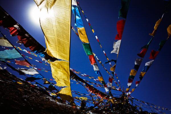 Rights group urges China to release Tibetan activist - JURIST