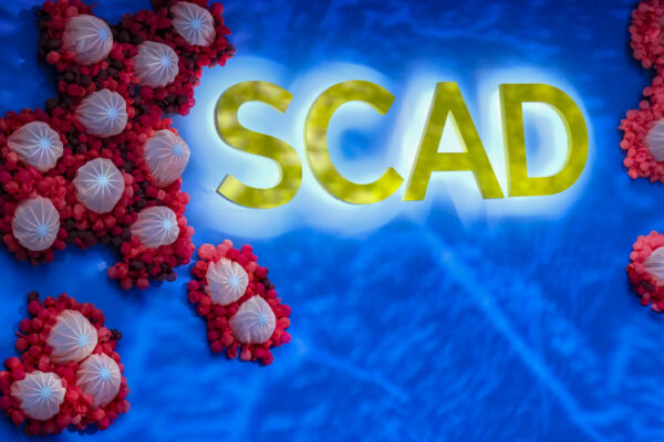 SCAD Atlanta’s Spring Fashion Show – The Connector