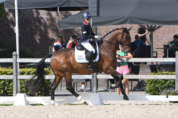 European Para Dressage Championships freestyle times released