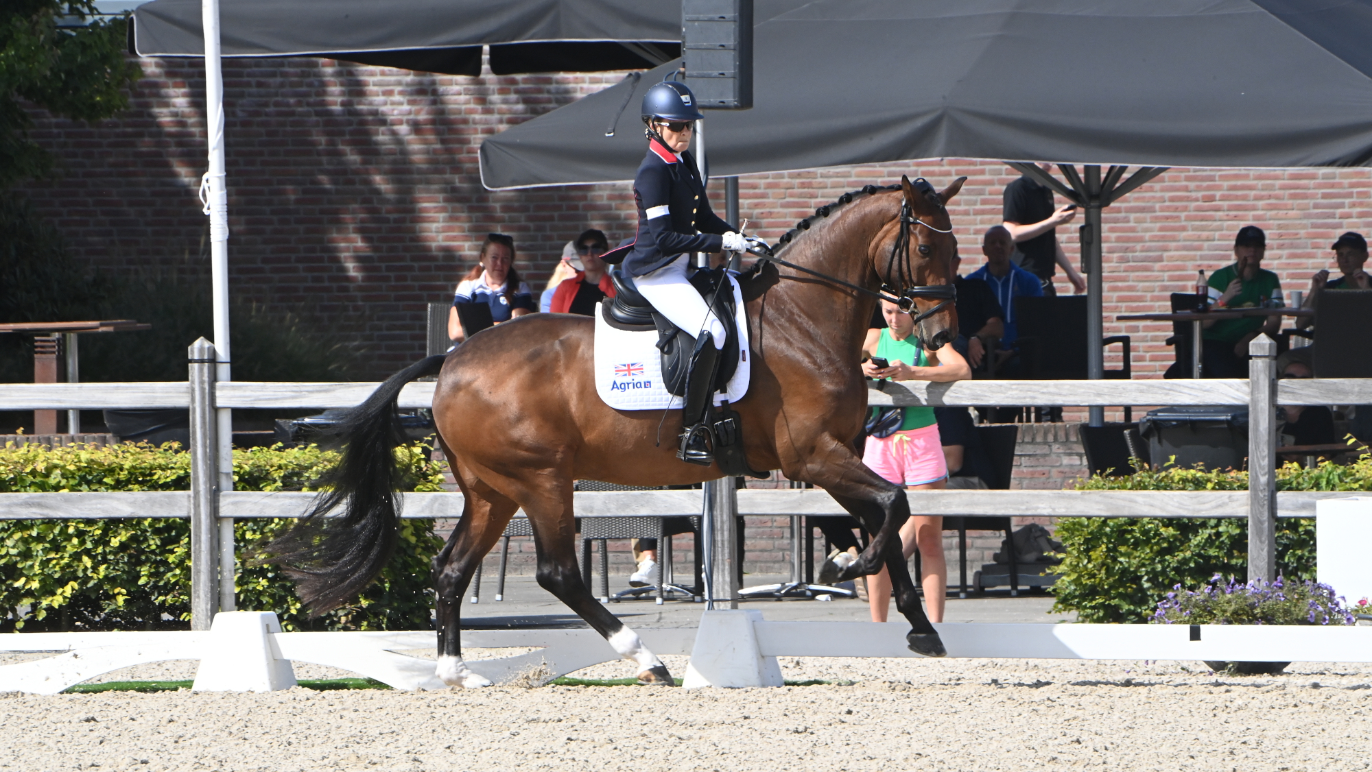 European Para Dressage Championships freestyle times released